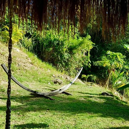 Cocotier, Elegant T3 Avec Jardin Tropical Apartman Sainte-Anne Kültér fotó